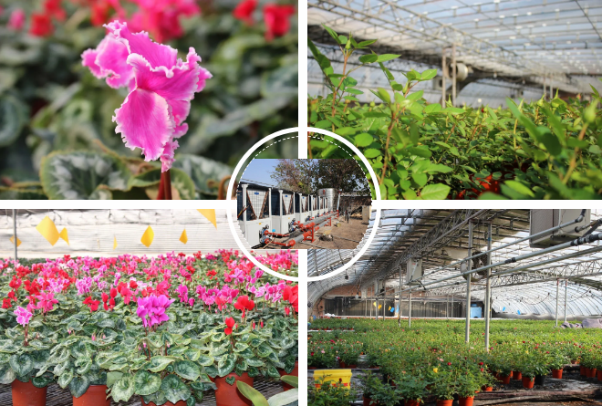 1605839045659411.png 112003.png