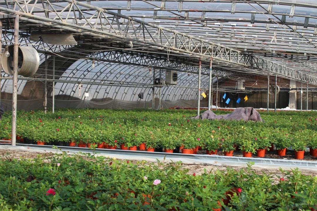 1606980037386278.jpg 微信圖片_20201203150942.jpg