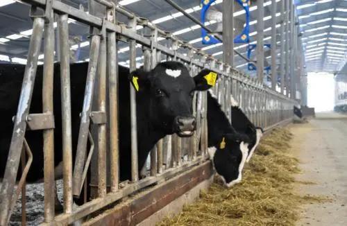 1607052650965097.jpg 微信圖片_20201204112925.jpg