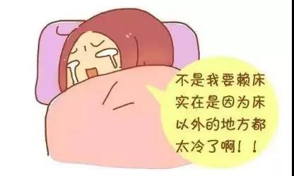 1609133715890042.jpg 5.jpg