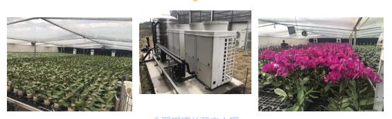 1610933238219615.jpg 3.jpg