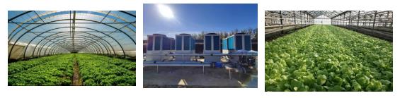 1610933337747262.jpg 5.jpg